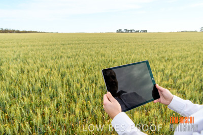 October 2019 / ROSEWORTHY_SA_191018-0722