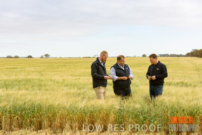 October 2019 / ROSEWORTHY_SA_191018-0730