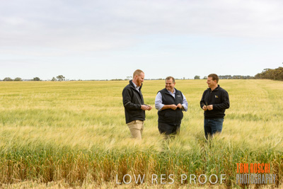 October 2019 / ROSEWORTHY_SA_191018-0732