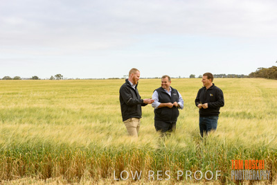 October 2019 / ROSEWORTHY_SA_191018-0733