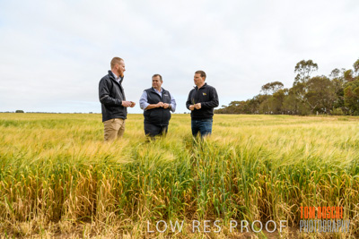 October 2019 / ROSEWORTHY_SA_191018-0737