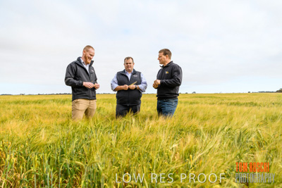 October 2019 / ROSEWORTHY_SA_191018-0743