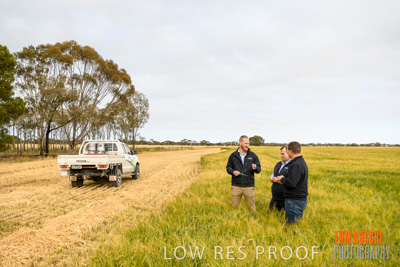 October 2019 / ROSEWORTHY_SA_191018-0744