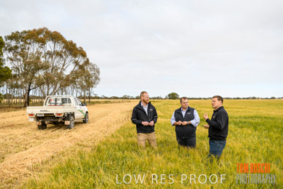 October 2019 / ROSEWORTHY_SA_191018-0747