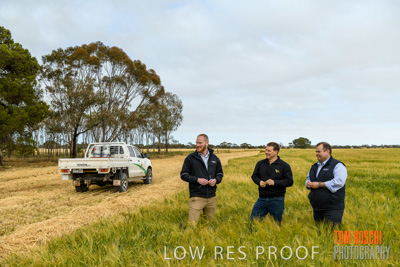 October 2019 / ROSEWORTHY_SA_191018-0750