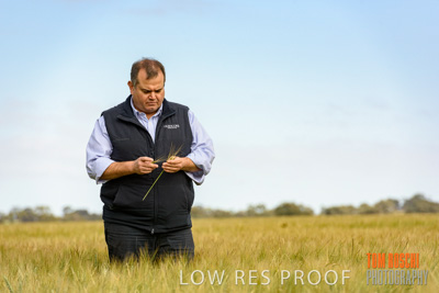 October 2019 / ROSEWORTHY_SA_191018-0815