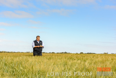 October 2019 / ROSEWORTHY_SA_191018-0828