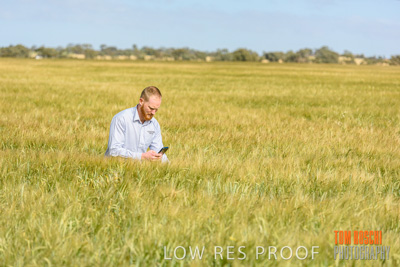 October 2019 / ROSEWORTHY_SA_191018-0877