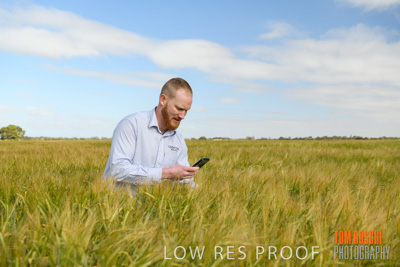 October 2019 / ROSEWORTHY_SA_191018-0883