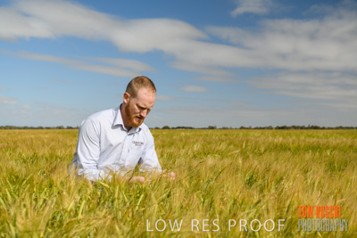 October 2019 / ROSEWORTHY_SA_191018-0896