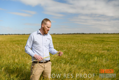 October 2019 / ROSEWORTHY_SA_191018-0908