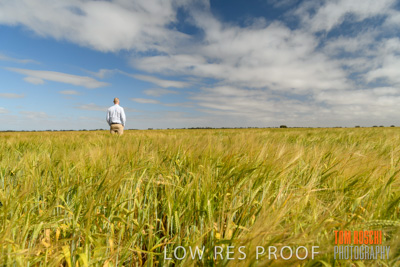 October 2019 / ROSEWORTHY_SA_191018-0921