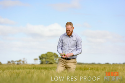 October 2019 / ROSEWORTHY_SA_191018-0959