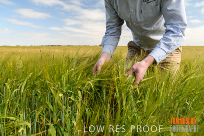 October 2019 / ROSEWORTHY_SA_191018-0973