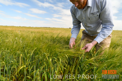 October 2019 / ROSEWORTHY_SA_191018-0978