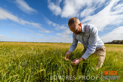 October 2019 / ROSEWORTHY_SA_191018-0987