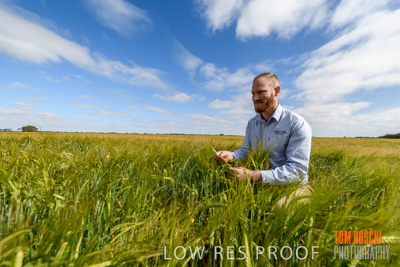 October 2019 / ROSEWORTHY_SA_191018-0992
