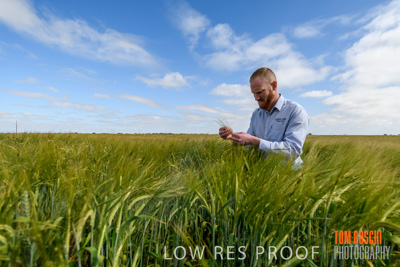 October 2019 / ROSEWORTHY_SA_191018-0995