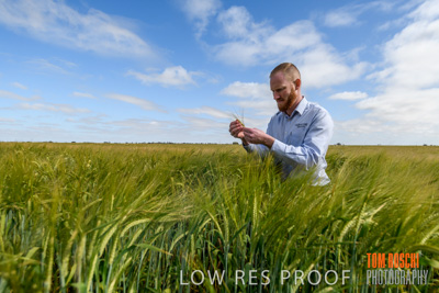 October 2019 / ROSEWORTHY_SA_191018-0996