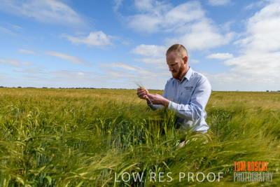 October 2019 / ROSEWORTHY_SA_191018-0997