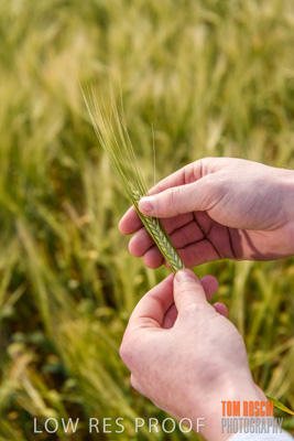 October 2019 / ROSEWORTHY_SA_191018-1005
