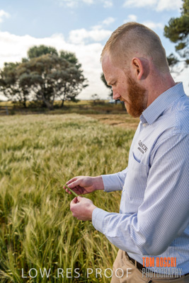 October 2019 / ROSEWORTHY_SA_191018-1009