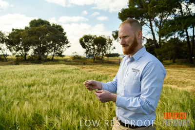 October 2019 / ROSEWORTHY_SA_191018-1018