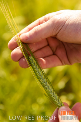 October 2019 / ROSEWORTHY_SA_191018-1022