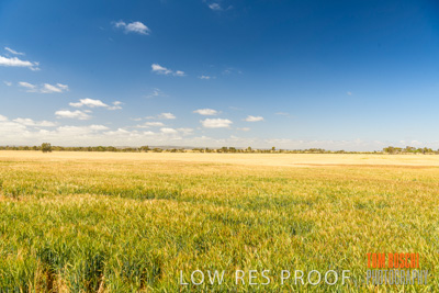 October 2019 / ROSEWORTHY_SA_191018-1106
