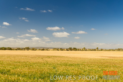 October 2019 / ROSEWORTHY_SA_191018-1107
