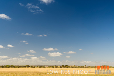 October 2019 / ROSEWORTHY_SA_191018-1109