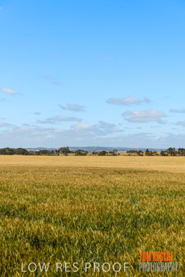 October 2019 / ROSEWORTHY_SA_191018-1110