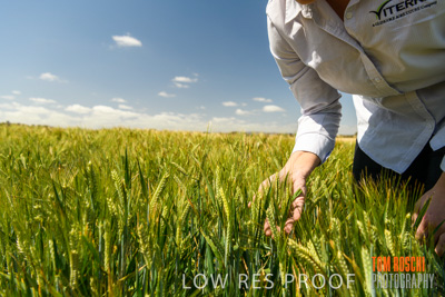 October 2019 / ROSEWORTHY_SA_191018-1119