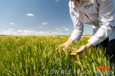 October 2019 / ROSEWORTHY_SA_191018-1122