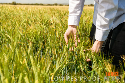 October 2019 / ROSEWORTHY_SA_191018-1126