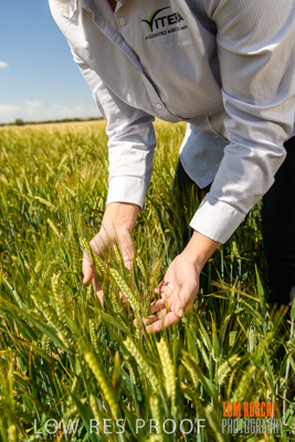 October 2019 / ROSEWORTHY_SA_191018-1137