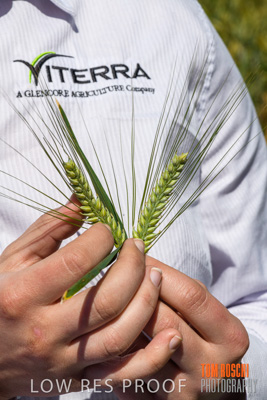 October 2019 / ROSEWORTHY_SA_191018-1159