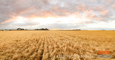 November 2019 / VITERRA-7949-Pano