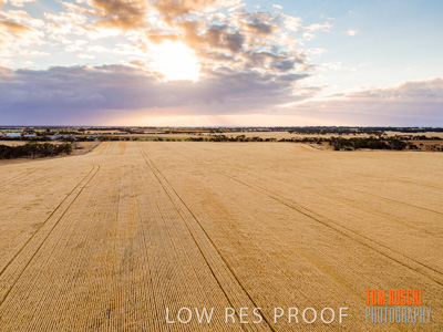 November 2019 / VITERRA_191112-0257