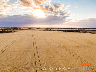 November 2019 / VITERRA_191112-0260