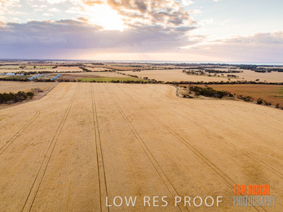 November 2019 / VITERRA_191112-0266