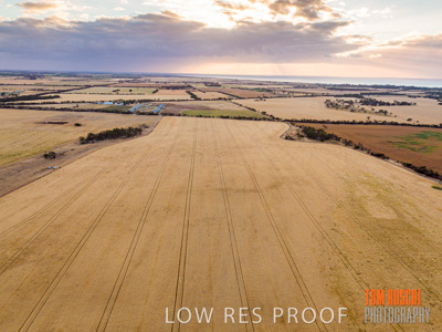 November 2019 / VITERRA_191112-0275