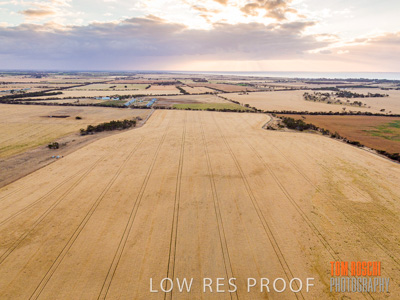 November 2019 / VITERRA_191112-0284