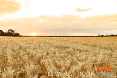 November 2019 / VITERRA_191112-7892