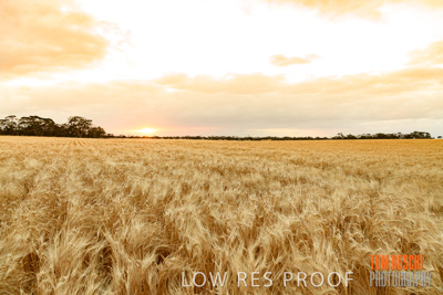 November 2019 / VITERRA_191112-7895