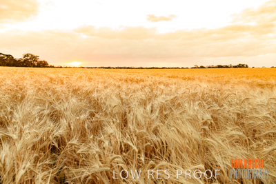 November 2019 / VITERRA_191112-7901