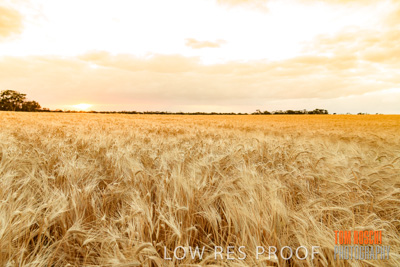 November 2019 / VITERRA_191112-7904