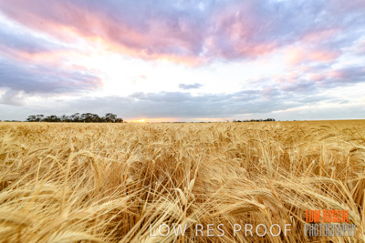 November 2019 / VITERRA_191112-7910