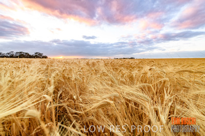 November 2019 / VITERRA_191112-7913