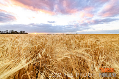 November 2019 / VITERRA_191112-7919